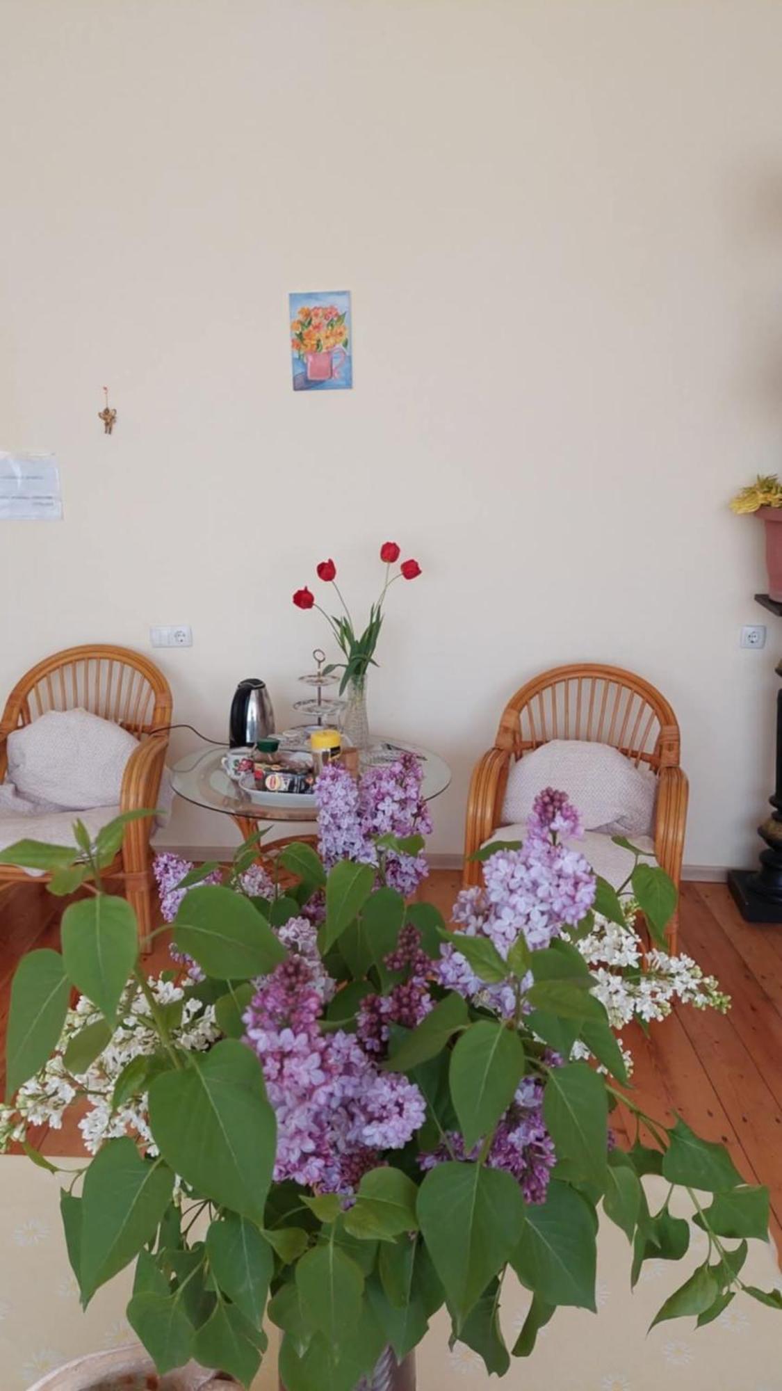Guesthouse "Door" In סינגאני מראה חיצוני תמונה